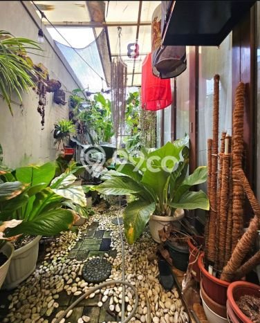 For Sale! Luxury House LT 190m2 Desain Elegan di Bintaro For Sale! Luxury House LT 190m2 Desain Elegan di Bintaro