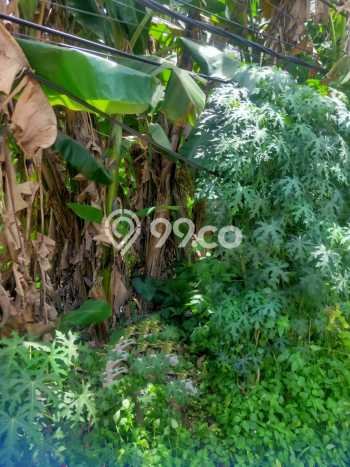 Lahan Kosong Dijual di Ciputat, Tangerang Selatan, Luas 580m2 Area Strategis Lahan Kosong Dijual di Ciputat, Tangerang Selatan, Luas 580m2 Area Strategis