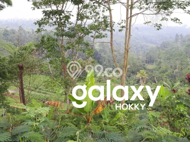 Lahan Kosong Dijual di Gianyar dengan Area 21500m2 Lahan Kosong Dijual di Gianyar dengan Area 21500m2