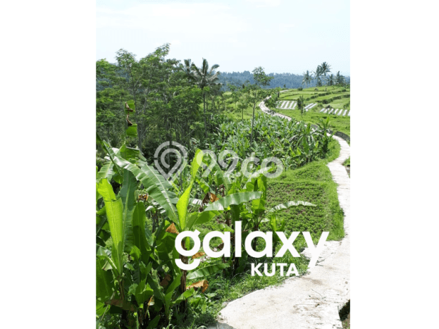 Lahan Investasi Lokasi Payangan Gianyar SHM Lahan Investasi Lokasi Payangan Gianyar SHM