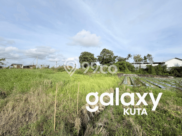 Kavling Tanah untuk Dijual di Cemagi, Badung, Luas 2198m2 Kavling Tanah untuk Dijual di Cemagi, Badung, Luas 2198m2