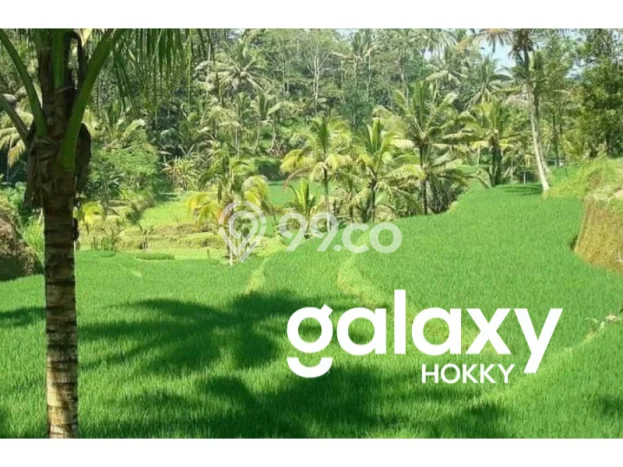 Lahan Kosong Dijual di Gianyar dengan Area 21500m2 Lahan Kosong Dijual di Gianyar dengan Area 21500m2