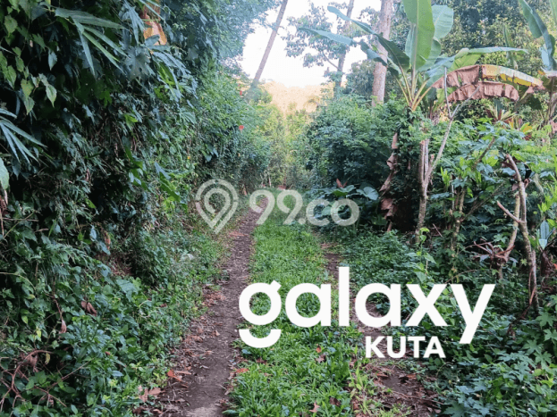 Dijual Tanah Lokasi Sekumpul, Buleleng Seluas 6000m2 Dijual Tanah Lokasi Sekumpul, Buleleng Seluas 6000m2