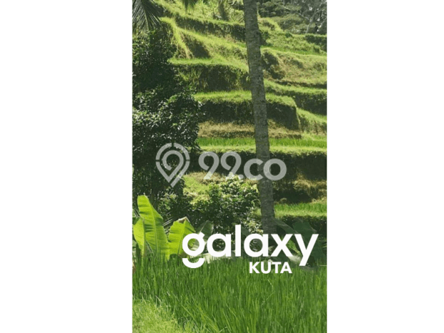 Lahan Investasi Lokasi Payangan Gianyar SHM Lahan Investasi Lokasi Payangan Gianyar SHM