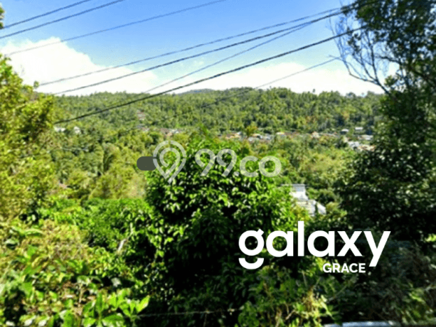 Tanah Kavling Dijual di Buleleng dengan Spesifikasi 4500m2 Tanah Kavling Dijual di Buleleng dengan Spesifikasi 4500m2