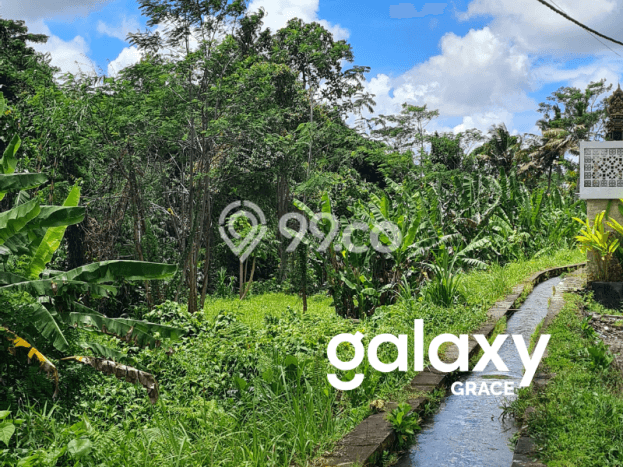 Dijual Tanah Lokasi Bakbakan, Gianyar Seluas 400m2 Dijual Tanah Lokasi Bakbakan, Gianyar Seluas 400m2
