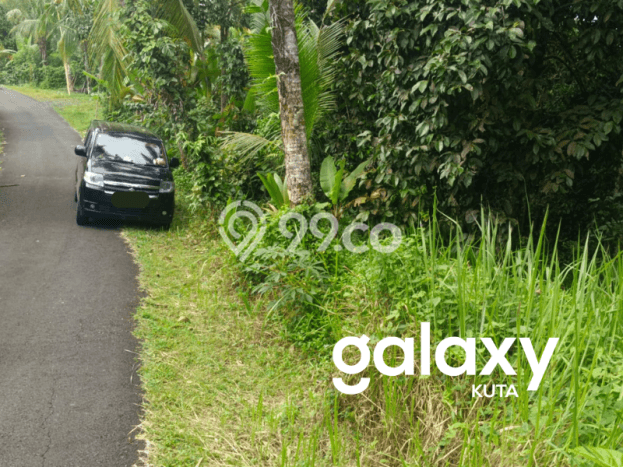 Tanah Komersial Dijual di Selemadeg Tabanan 62750m2 Tanah Komersial Dijual di Selemadeg Tabanan 62750m2