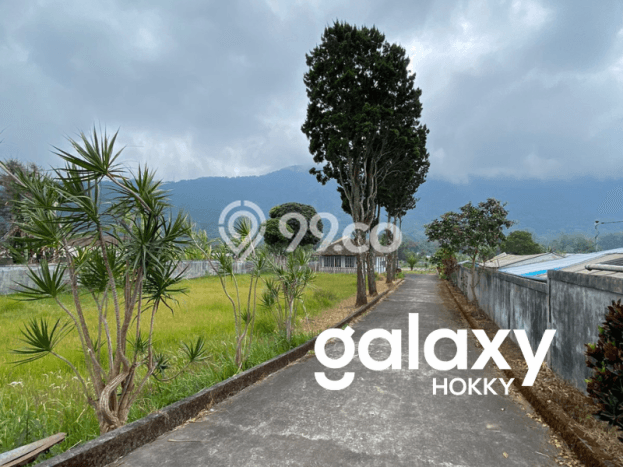 Lahan Kosong Disewakan di Sukasada, Buleleng, Luas 5000m2 Lahan Kosong Disewakan di Sukasada, Buleleng, Luas 5000m2