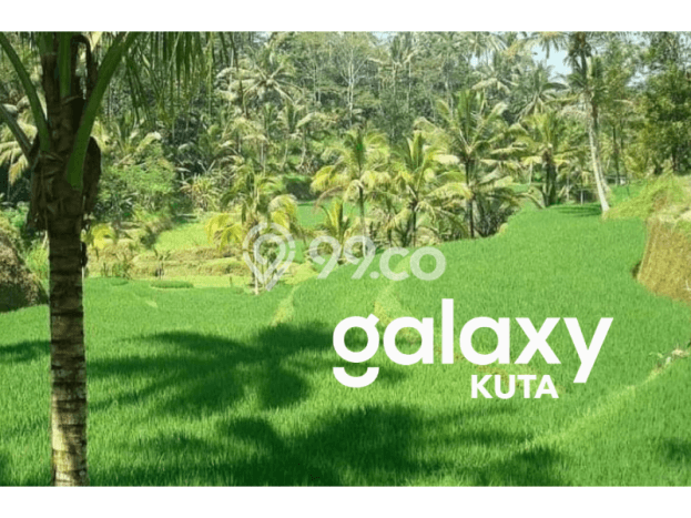 Lahan Investasi Lokasi Payangan Gianyar SHM Lahan Investasi Lokasi Payangan Gianyar SHM