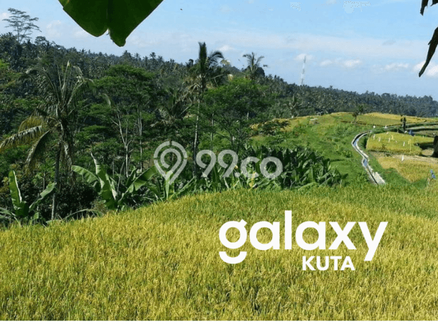 Lahan Investasi Lokasi Payangan Gianyar SHM Lahan Investasi Lokasi Payangan Gianyar SHM