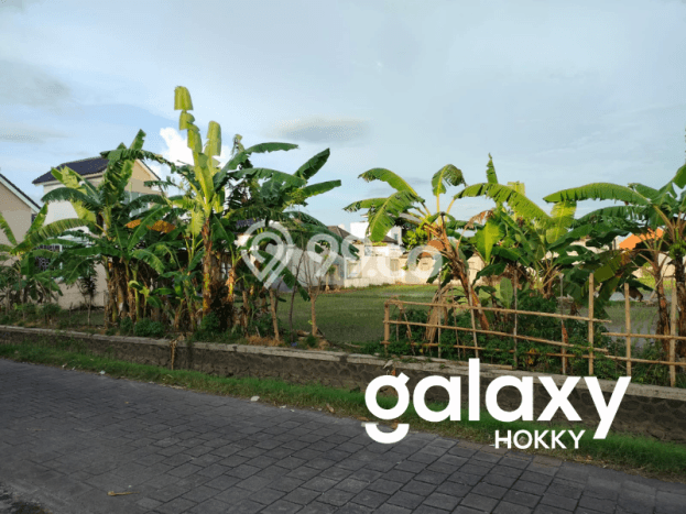 Untuk Dijual Tanah di Denpasar, Luas 1000m2 SHM Untuk Dijual Tanah di Denpasar, Luas 1000m2 SHM