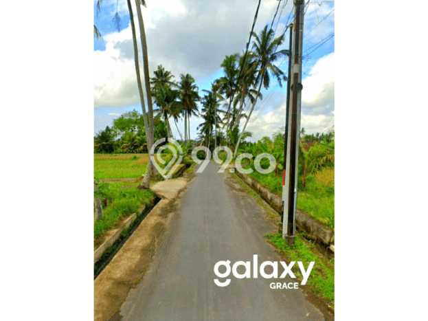 Tanah Dijual Area Strategis di Kemenuh Gianyar 2899m2 Tanah Dijual Area Strategis di Kemenuh Gianyar 2899m2