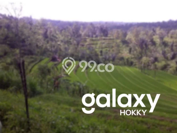 Lahan Kosong Dijual di Gianyar dengan Area 21500m2 Lahan Kosong Dijual di Gianyar dengan Area 21500m2