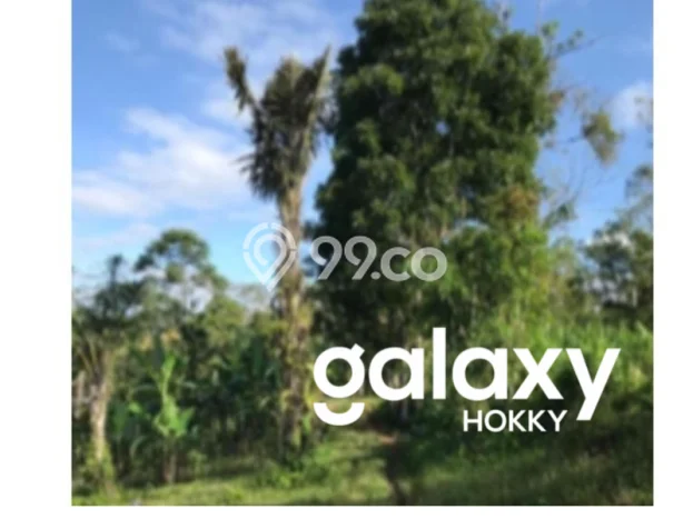 Lahan Kosong Dijual di Gianyar dengan Area 21500m2 Lahan Kosong Dijual di Gianyar dengan Area 21500m2