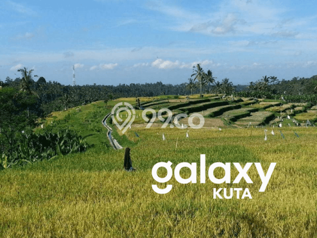 Lahan Investasi Lokasi Payangan Gianyar SHM Lahan Investasi Lokasi Payangan Gianyar SHM