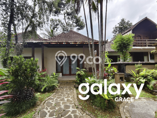 Dijual Tanah Lokasi Kedewatan, Gianyar Seluas 4650m2 Dijual Tanah Lokasi Kedewatan, Gianyar Seluas 4650m2
