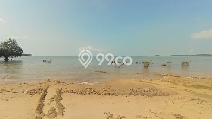 Tanah Kavling Dijual di Batam dengan Spesifikasi 55000m2 Tanah Kavling Dijual di Batam dengan Spesifikasi 55000m2