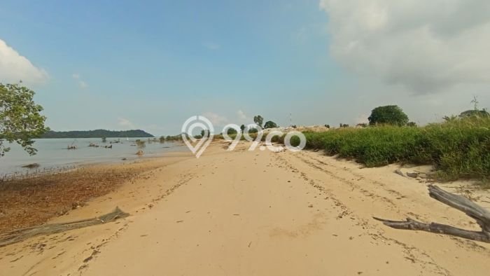 Tanah Kavling Dijual di Batam dengan Spesifikasi 55000m2 Tanah Kavling Dijual di Batam dengan Spesifikasi 55000m2