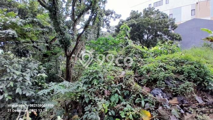 Kavling Tanah di Tembalang Dijual Luas 1500m2 Legalitas SHM Kavling Tanah di Tembalang Dijual Luas 1500m2 Legalitas SHM