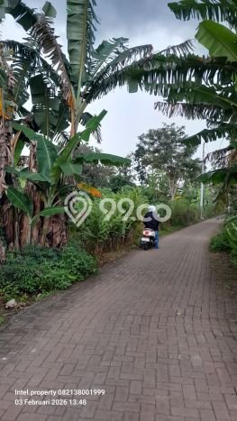 Kavling Tanah Dijual di Tembalang Semarang Spesifikasi 2000m2 Kavling Tanah Dijual di Tembalang Semarang Spesifikasi 2000m2