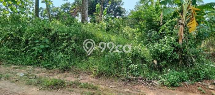 Tanah di Tembalang, Semarang Luas 500m2 Dijual Segera Tanah di Tembalang, Semarang Luas 500m2 Dijual Segera
