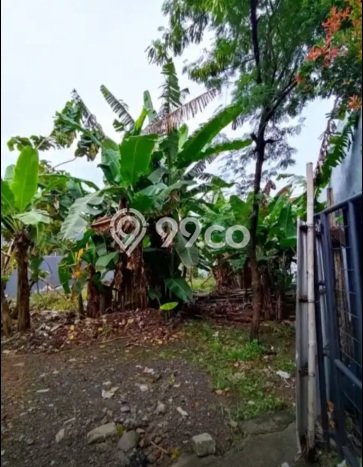 Dijual Tanah di Tembalang Semarang Luas 580m2 SHM Dijual Tanah di Tembalang Semarang Luas 580m2 SHM