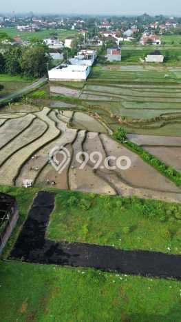 Tanah Strategis Dijual di Karanganyar Karanganyar 196m2 Tanah Strategis Dijual di Karanganyar Karanganyar 196m2