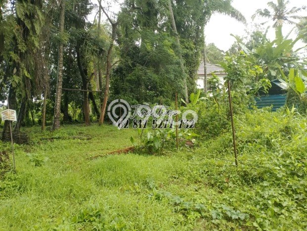 Tanah Kavling di Ubud Dijual dengan Luas 300m2 Tanah Kavling di Ubud Dijual dengan Luas 300m2