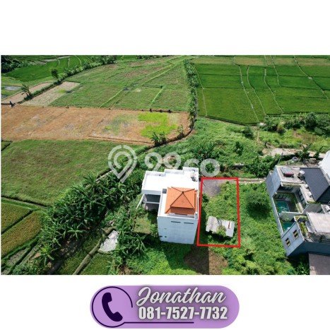 Jarang Ada! Tanah di Mengwi Punya Luas 160m2 SHM Jarang Ada! Tanah di Mengwi Punya Luas 160m2 SHM