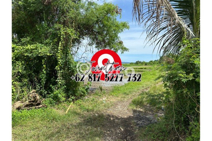Tanah Kavling untuk Dijual di Gianyar Gianyar 5100m2 Tanah Kavling untuk Dijual di Gianyar Gianyar 5100m2
