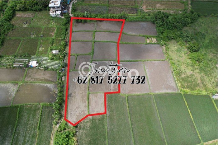 Tanah Kavling untuk Dijual di Gianyar Gianyar 5100m2 Tanah Kavling untuk Dijual di Gianyar Gianyar 5100m2