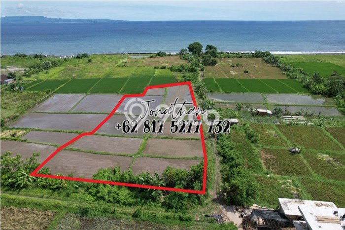 Tanah Kavling untuk Dijual di Gianyar Gianyar 5100m2 Tanah Kavling untuk Dijual di Gianyar Gianyar 5100m2