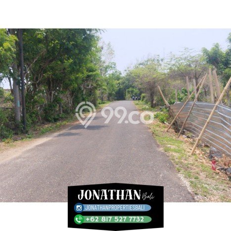 Untuk Dijual Tanah di Badung, Luas 1000m2 SHM Untuk Dijual Tanah di Badung, Luas 1000m2 SHM
