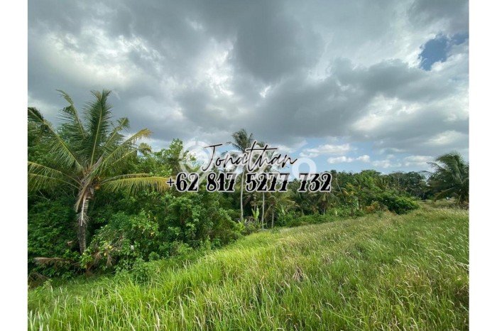 Tanah Kosong Dijual di Tabanan dengan Area 500m2 Tanah Kosong Dijual di Tabanan dengan Area 500m2