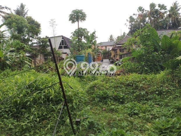 Tanah Kavling di Ubud Dijual dengan Luas 300m2 Tanah Kavling di Ubud Dijual dengan Luas 300m2