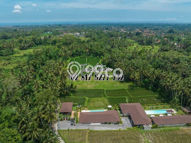Vila di Ubud, Area 892m2m², Cocok untuk tempat tinggal keluarga Vila di Ubud, Area 892m2m², Cocok untuk tempat tinggal keluarga