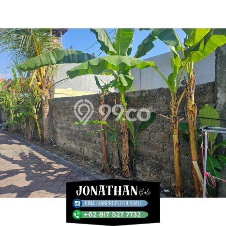 Tanah Kavling Dijual di Badung dengan Spesifikasi 17600m2 Tanah Kavling Dijual di Badung dengan Spesifikasi 17600m2