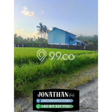 Tanah untuk Dijual Lokasi Tabanan, Tabanan Luas 2750m2 SHM Tanah untuk Dijual Lokasi Tabanan, Tabanan Luas 2750m2 SHM