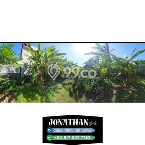 Tanah Kavling Dijual di Badung dengan Spesifikasi 300m2 Tanah Kavling Dijual di Badung dengan Spesifikasi 300m2
