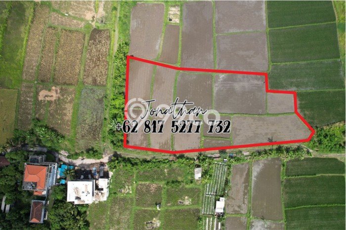 Tanah Kavling untuk Dijual di Gianyar Gianyar 5100m2 Tanah Kavling untuk Dijual di Gianyar Gianyar 5100m2