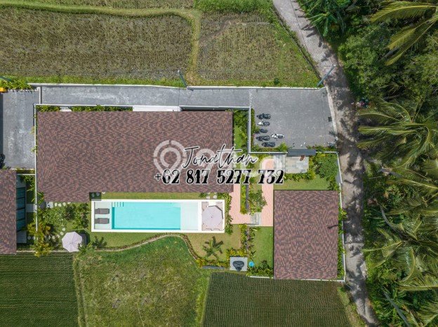 Vila di Ubud, Area 892m2m², Cocok untuk tempat tinggal keluarga Vila di Ubud, Area 892m2m², Cocok untuk tempat tinggal keluarga