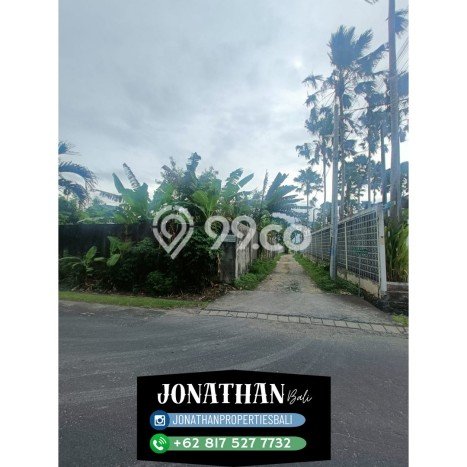 Kavling Tanah untuk Dijual di canggu, Badung, Luas 750m2 Kavling Tanah untuk Dijual di canggu, Badung, Luas 750m2