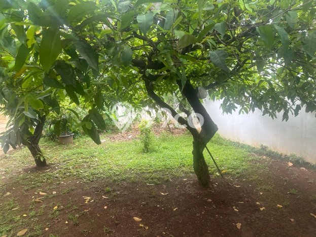 Lahan untuk Dijual Lokasi Kebon Jeruk, Jakarta Barat Luas 6000m2 SHM Lahan untuk Dijual Lokasi Kebon Jeruk, Jakarta Barat Luas 6000m2 SHM