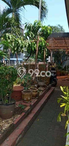 Dijual Rumah Elit Exclusive di Gajah Mungkur, Semarang Dijual Rumah Elit Exclusive di Gajah Mungkur, Semarang