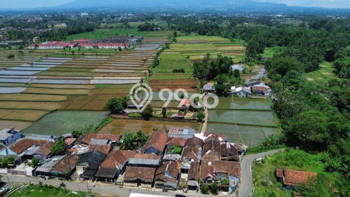 Kavling Tanah di Kebonpedes Dijual Luas 3388m2 Legalitas SHM Kavling Tanah di Kebonpedes Dijual Luas 3388m2 Legalitas SHM