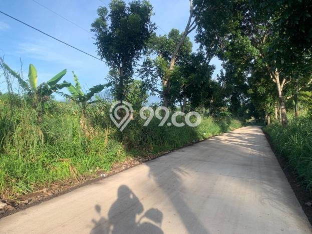 Tanah Dijual Lokasi Cilaku Cianjur SHM Tanah Dijual Lokasi Cilaku Cianjur SHM