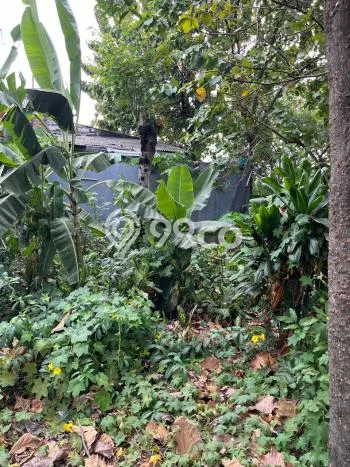 Tanah Kavling Dijual di Bekasi dengan Spesifikasi 650m2 Tanah Kavling Dijual di Bekasi dengan Spesifikasi 650m2