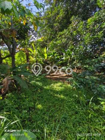 Kavling Tanah untuk Dijual di Cipaku, Bogor, Luas 3450m2 Kavling Tanah untuk Dijual di Cipaku, Bogor, Luas 3450m2