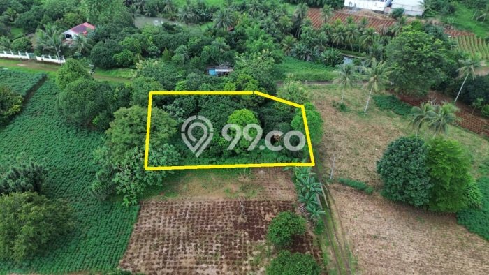 Tanah Strategis Dijual di Tajur Halang Bogor 1663m2 Tanah Strategis Dijual di Tajur Halang Bogor 1663m2