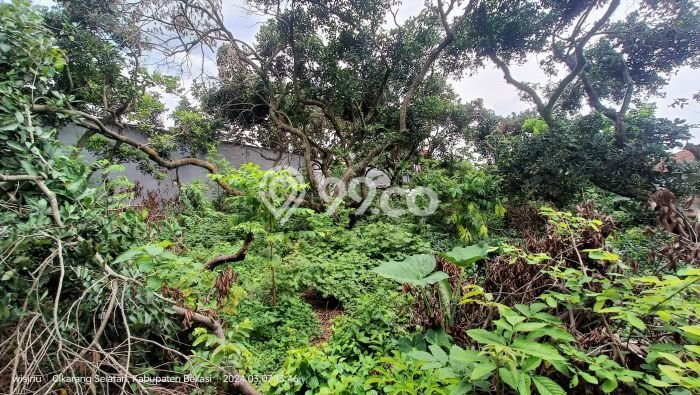 Dijual Hunian Mewah dengan Fasilitas Sekitar Lengkap di Lippo Cikarang, Cikarang Dijual Hunian Mewah dengan Fasilitas Sekitar Lengkap di Lippo Cikarang, Cikarang